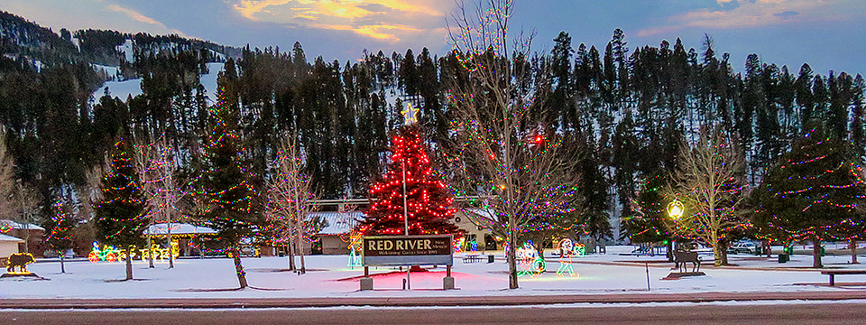 Xmas lights in park