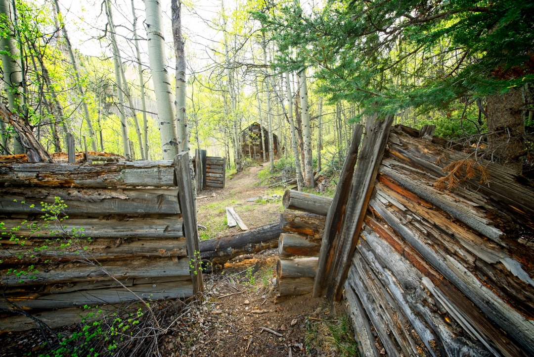 Off-Roading Trips – Red River, New Mexico