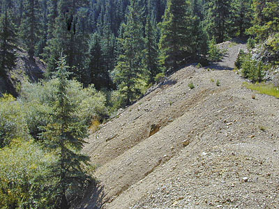 Big Five Mine Tailings