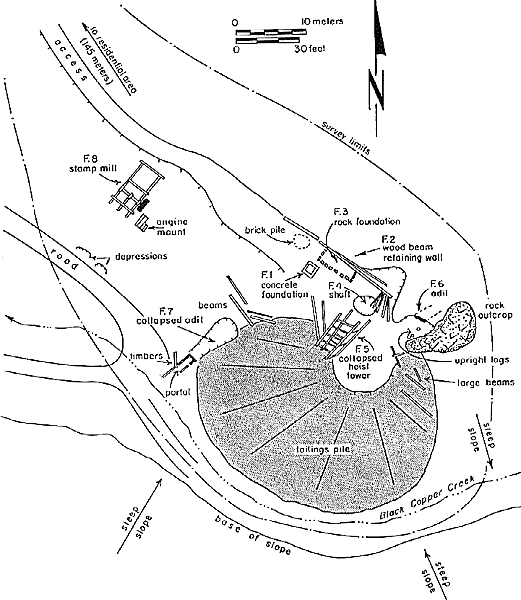 Black Copper Property Layout