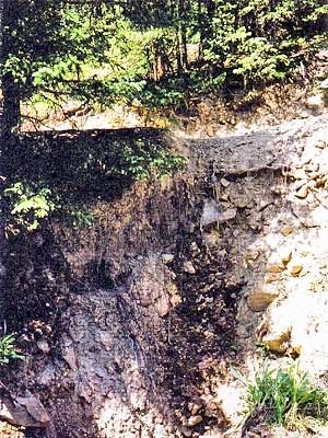 Buffalo Miners' Bunkhouse